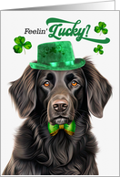 St Patrick’s Day Flat Coated Retriever Dog Feelin’ Lucky Clovers card