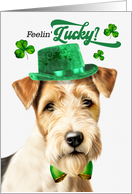 St Patrick’s Day Fox Terrier Dog Feelin’ Lucky Clovers card