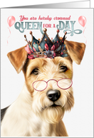 Birthday Rough Fox Terrier Dog Funny Queen for a Day card