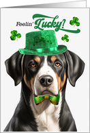 St Patrick’s Day Greater Swiss Mountain Dog Feelin’ Lucky Clovers card