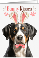 Easter Bunny Kisses Greater Swiss Mountain Dog in Bunny Ears card