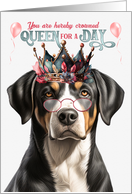 Birthday Greater Swiss Mountain Dog Funny Queen for a Day card