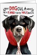 Greater Swiss Mountain Dog Funny Halloween Count DOG card