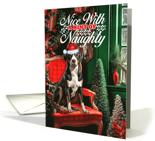 Greater Swiss Mountain Christmas Dog Nice with a Hint of Naughty card