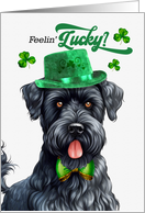 St Patrick’s Day Kerry Blue Terrier Dog Feelin’ Lucky Clovers card