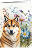 Thank You Akita Dog...