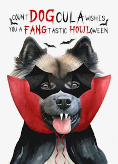 Keeshond Dog Funny...