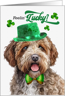 St Patrick’s Day Lagotto Romagnolo Dog Feelin’ Lucky Clovers card