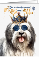 Birthday Lowchen Dog Funny King for a Day card