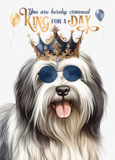Birthday Lowchen Dog Funny King for a Day