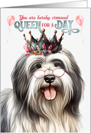 Birthday Lowchen Dog Funny Queen for a Day card