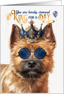 Birthday Norwich Terrier Dog Funny King for a Day card