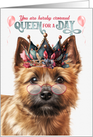 Birthday Norwich Terrier Dog Funny Queen for a Day card