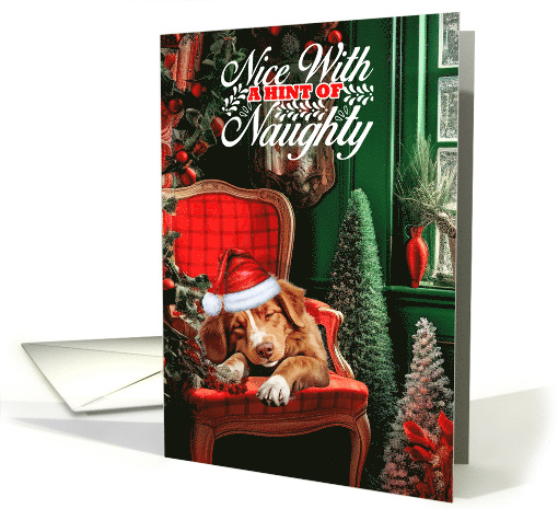 Duck Tolling Retriever Christmas Dog Nice with a Hint of Naughty card