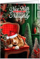 Duck Tolling Retriever Christmas Dog Nice with a Hint of Naughty card
