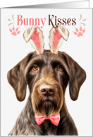Easter Bunny Kisses German Wirehair Pointer Dog in Bunny Ears card