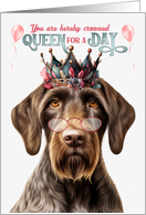 Birthday German Wirehair Pointer Dog Funny Queen for a Day card