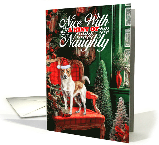 Podengo Pequeno Christmas Dog Nice with a Hint of Naughty card