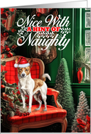 Podengo Pequeno Christmas Dog Nice with a Hint of Naughty card