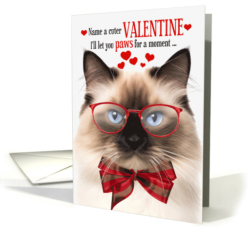 Seal Point Birman Cat Lover Valentine's Day with Feline Humor card