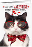 Black and White Fluffy Cat Valentine’s Day with Feline Humor card