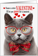 Blue Gray British Shorthair Cat Valentine’s Day with Feline Humor card