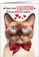 Burmese Cat Valentine’s Day with Feline Humor card
