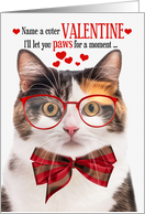 Calico Cat Valentine’s Day with Feline Humor card