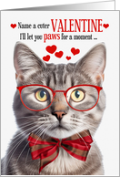 Champagne Tabby Cat Valentine’s Day with Feline Humor card