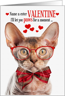 Devon Rex Cat Valentine’s Day with Feline Humor card