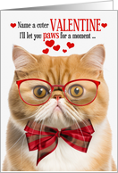 Orange Exotic Shorthair Cat Valentine’s Day with Feline Humor card