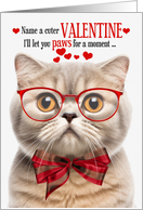 Cream Scottish Fold Cat Valentine’s Day with Feline Humor card