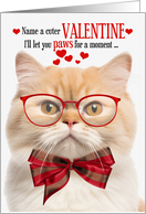 Munchkin Cat Valentine’s Day with Feline Humor card