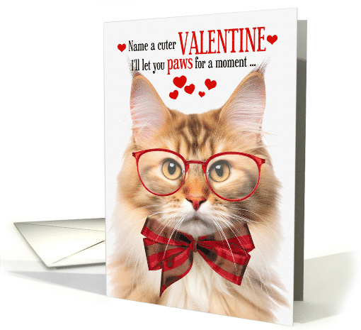 Cream and Apricot Norwegian Forest Cat Valentine's Day... (1814762)