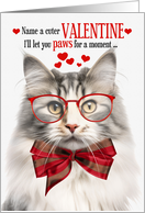 Silver Mackerel Norwegian Forest Cat Valentine’s Day Feline Humor card