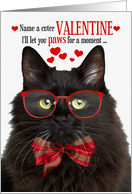 Black Fluffy Cat Lover Valentine’s Day with Feline Humor card