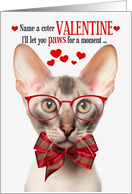 Oriental Shorthair Cat Valentine’s Day with Feline Humor card