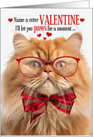 Orange Persian Cat Lover Valentine’s Day with Feline Humor card