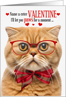 Orange Scottish Fold Cat Valentine’s Day with Feline Humor card