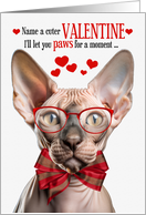 Sphynx Cat Lover Valentine’s Day with Feline Humor card