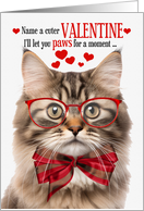 Fluffy Tri Color Tabby Cat Lover Valentine’s Day with Feline Humor card