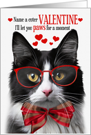 Black and White Tuxedo Cat Lover Valentine’s Day Feline Humor card