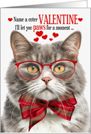 Gray Marbled Fluffy Cat Lover Valentine’s Day with Feline Humor card