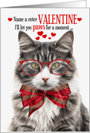 Longhaired Gray Tabby Cat Lover Valentine’s Day with Feline Humor card