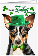 St Patrick’s Day Rat Terrier Dog Feelin’ Lucky Clovers card