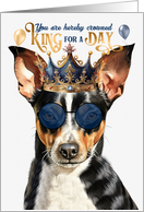 Birthday Rat Terrier Dog Funny King for a Day card