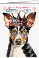 Birthday Rat Terrier Dog Funny Queen for a Day card
