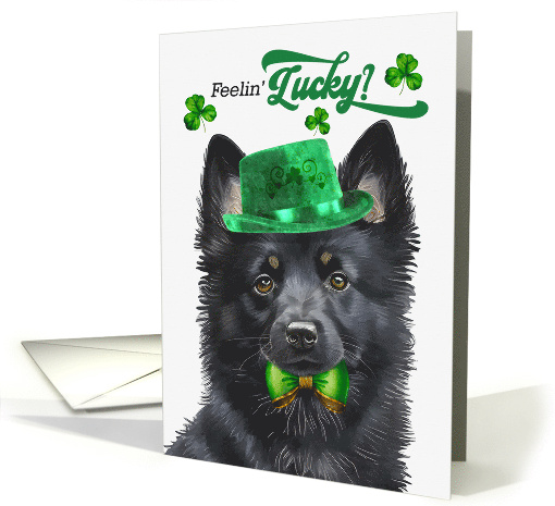 St Patrick's Day Schipperke Dog Feelin' Lucky Clovers card (1815084)