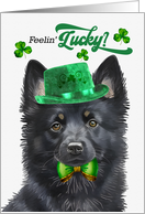 St Patrick’s Day Schipperke Dog Feelin’ Lucky Clovers card