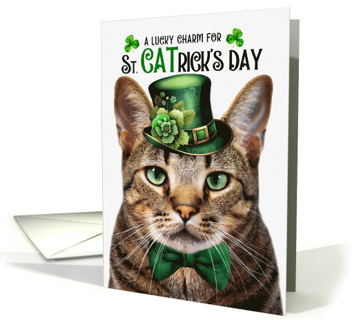 Brown Tabby Cat Funny St CATrick's Day Lucky Charm card (1815676)